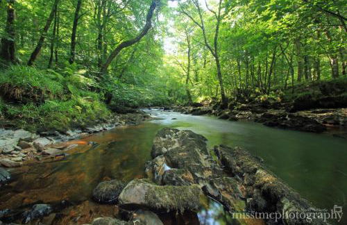 Dartmoor Reach Alpaca Farm - Foto 94