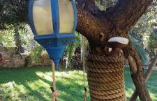 El Racó dels Mussols 2 - Foto 35