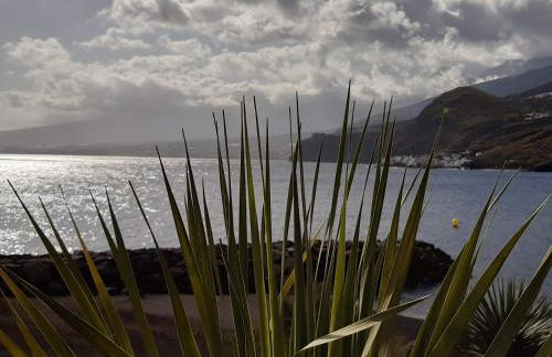 You and the Ocean - Foto 42