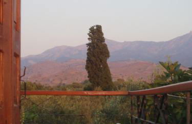 Eleni Studios & Apartments - Foto 8