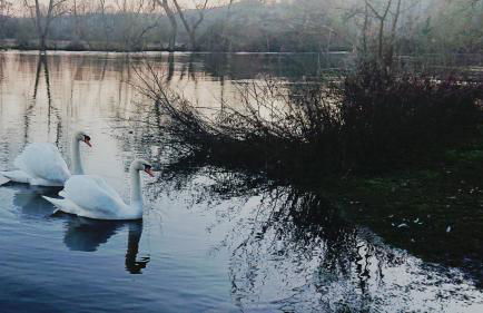 Charming 17th Century 2-bed Cottage in Medmenham - Foto 75