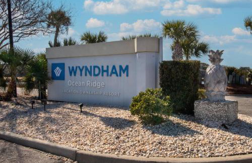 Edisto on my Mind - Foto 28