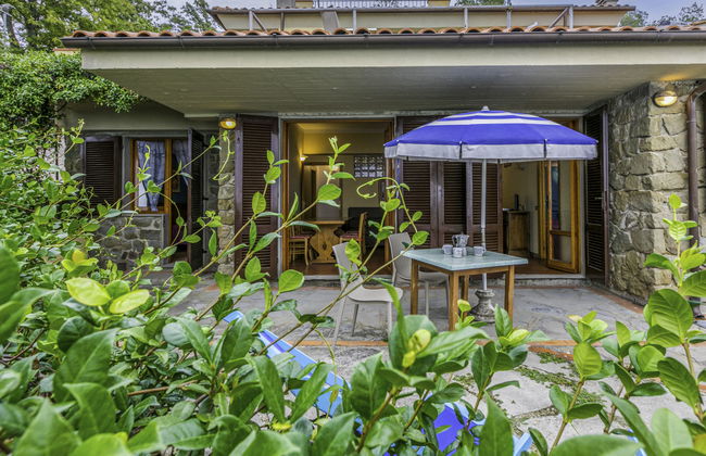 Agrifoglio - Photo 3