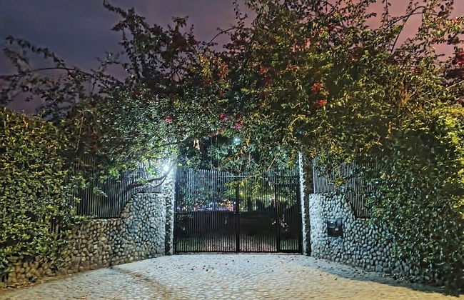 La Guarida - Photo 38