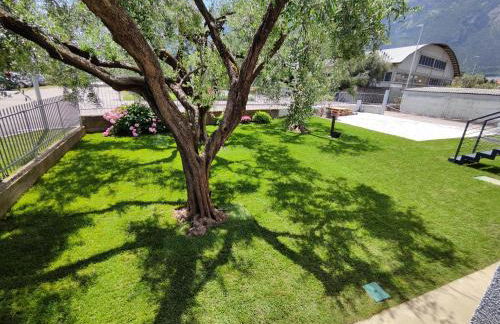 Oasi degli Ulivi - Foto 46