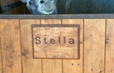 AGRITURISMO Da Baffone - Foto 9