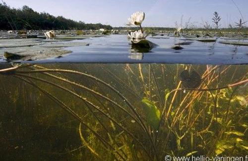 Séjour nature au cœur du Parc de la Brenne: gîte 4 chambres, jardin et terrasse, proche de Rosnay - FR-1-591-141 - Foto 9