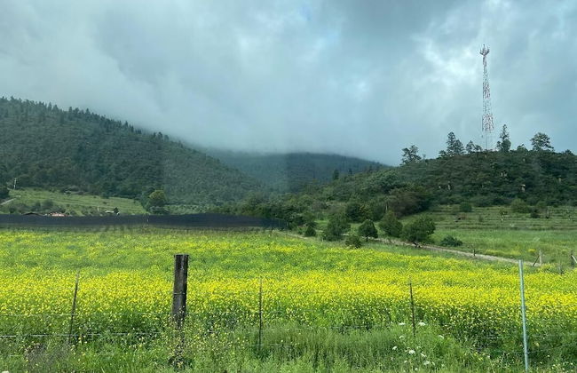 Las Estrellas Cabañas en el Bosque - Foto 32
