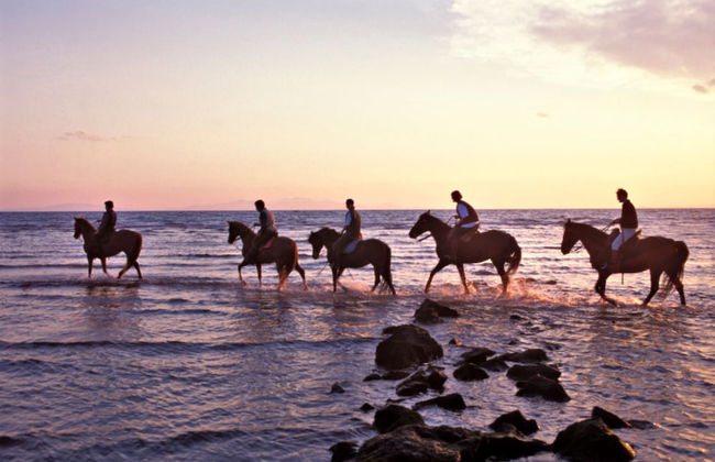 Agriturismo La pulledraia - Foto 27