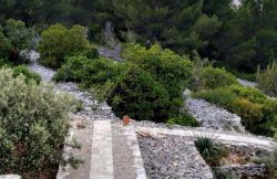 House on Punta - Photo 16