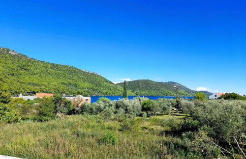 House Bartulovic -Lucia Apartment with sea view - Foto 7