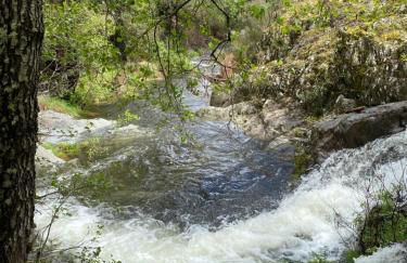 Casas Rurales Prunus avium - Photo 38
