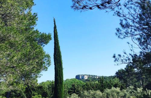 Cabane de la leque - Foto 7