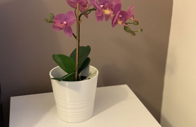 Gordon House - Foto 9