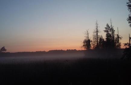 Serce Puszczy Wiartel - Foto 35