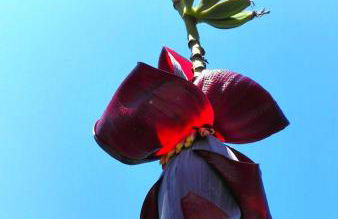 Litto Appartamenti - Photo 35