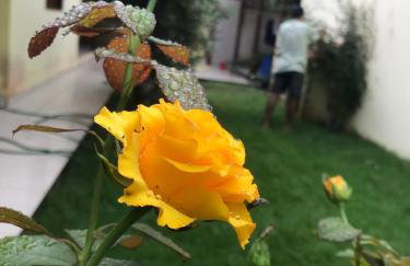 Casa paRABEns! - Foto 15