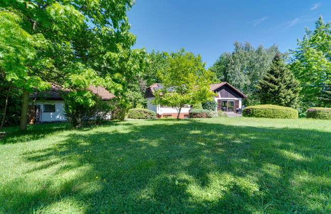 Marcyporęba - Photo 35