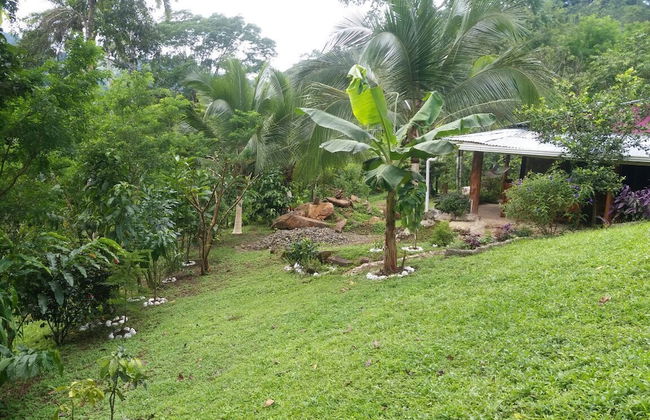 Pura Natura Lodge Arroyo - Foto 68