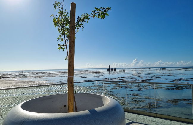 Ape Praia Piscina e Academia P812 - Foto 16