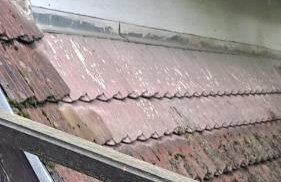 LeśnyZakątekNysa - Foto 3