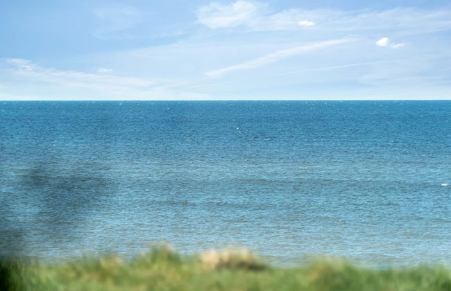 "Trifun" - 50m from the sea - Photo 18