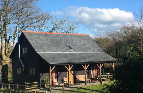 Holsworthy Holiday Cottages - Foto 12