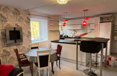 2P 50 m2 - Spacieux, Équipé, Moderne, A la montagne - Photo 10