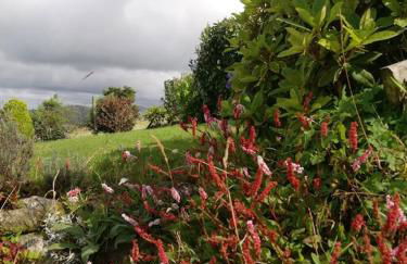 Bwthyn Plas Hafod Cottage - Photo 21