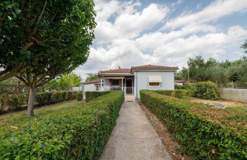 Olivilla Garden Retreat - A Peaceful Escape - Foto 25