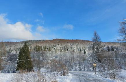 Domki pod Lipą. - Foto 64