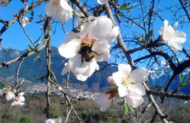 Villa Rustica - Photo 102