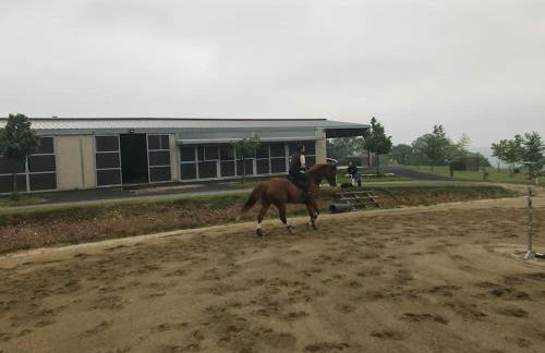 Logement entier de charme, gite équestre GERS Flamarens - Photo 25