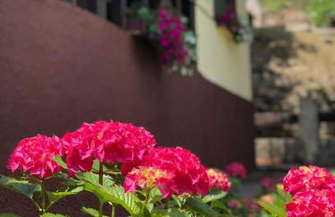 Casa rural en plena naturaleza Lic UVTR1524 - Photo 29