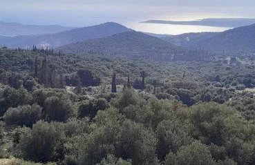 Peri's apartment - Foto 26