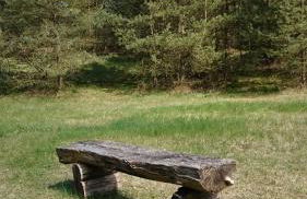 Idyll im Land der 1000 Seen - Foto 16