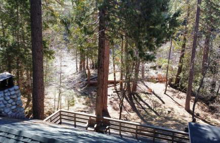 Along The River - Foto 11