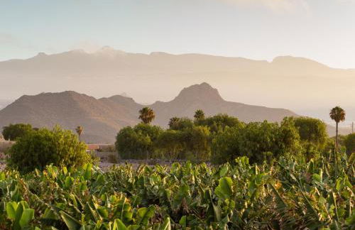 Casita 2 caserío de guaza - Foto 25