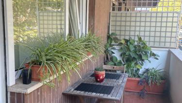 Cami Luxury Flat Rome - Foto 3