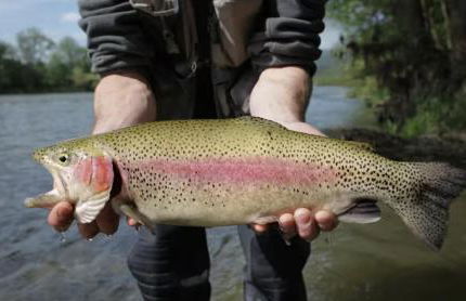 Piece of Paradise Dream Deck AC - Photo 68