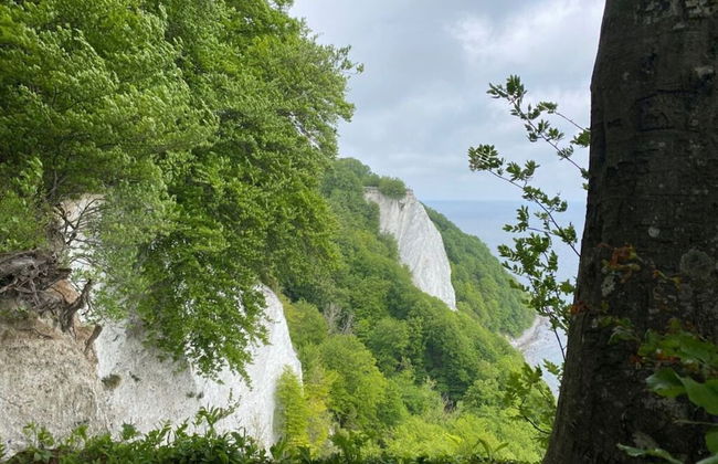 Meeresbraut Comfortable Holiday Residence - Photo 11