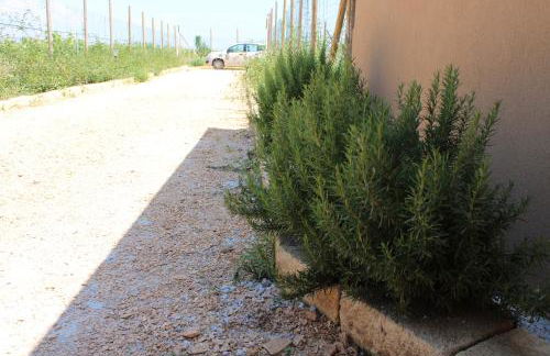 Smiles & Sunsets - Marino's Resort - Foto 156