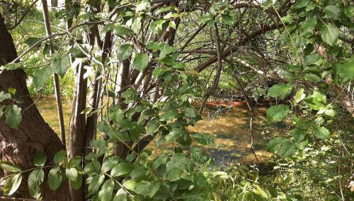 An der Holthemme - Foto 5