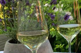 Ferienwohnungen Bohner/Wohnung Elisabeth - Foto 39