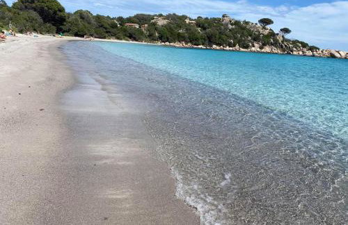Les pieds dans l eau de Betty Ghisonaccia plage 50 m - Foto 44