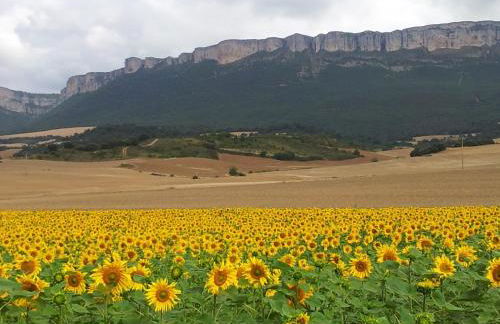 Casa Rural Basaula - Foto 34