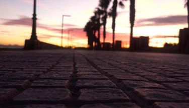 PARADISE GARDEN - Foto 3