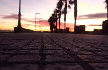 PARADISE GARDEN - Photo 3