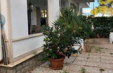 Holiday & House - Imparato Carini Costa Verde - Appartamento con giardino privato - porzione di Villa residenziale a pochi passi dal mare - Foto 32