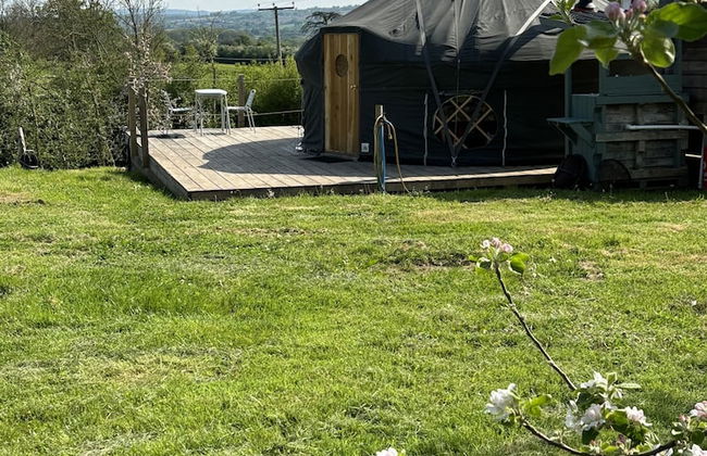 Dragon Orchard Retreat - Photo 36